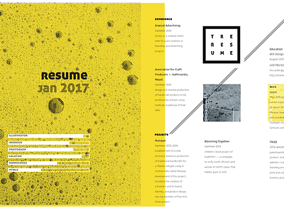 Personal Resume digital multimedia print resume swiss web