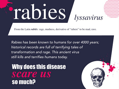 Rabies Infographic - preventable disease series disease graphic infographic rabies typography