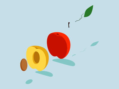 Peach animation behance detail flat fruit gif illustration instruction peach section