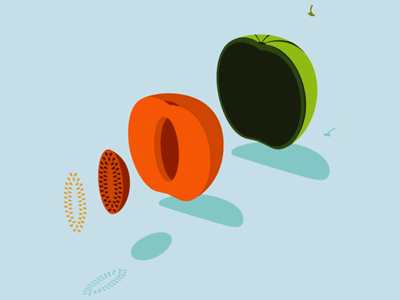 Melon animation behance detail flat fruit gif illustration instruction melon project section