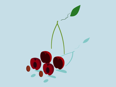 Cherry animation behance cherry detail flat fruit gif illustration instruction project section