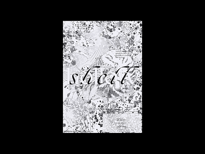 Hollow Shell branding editorial design graphicdesign identity design illustration poster poster design print print design type typography