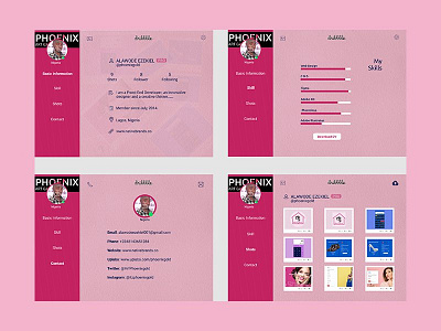 User Profile Design Concept for Dribble design web