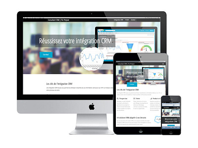 .newsite {display: now;} consulting crm responsive web design rwd
