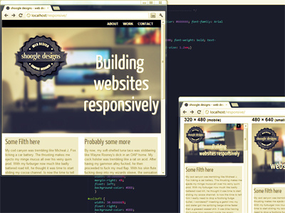 Responsive Web Design (or redesign of my site)