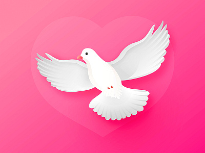 Dove For Valentine's day