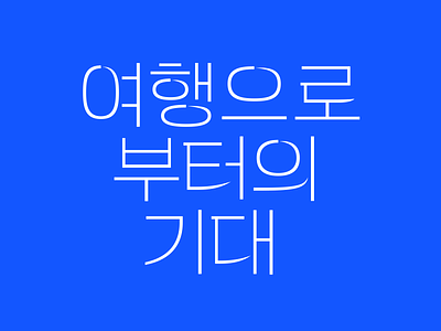 Expectations from travel korean lettering type 타이포그라피 한글디자인