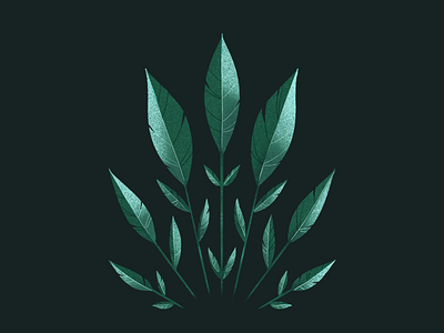 Botany Flowers symmetrical illustration