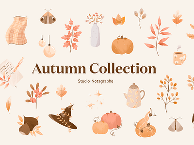 Autumn Collection Studio Notagraphe