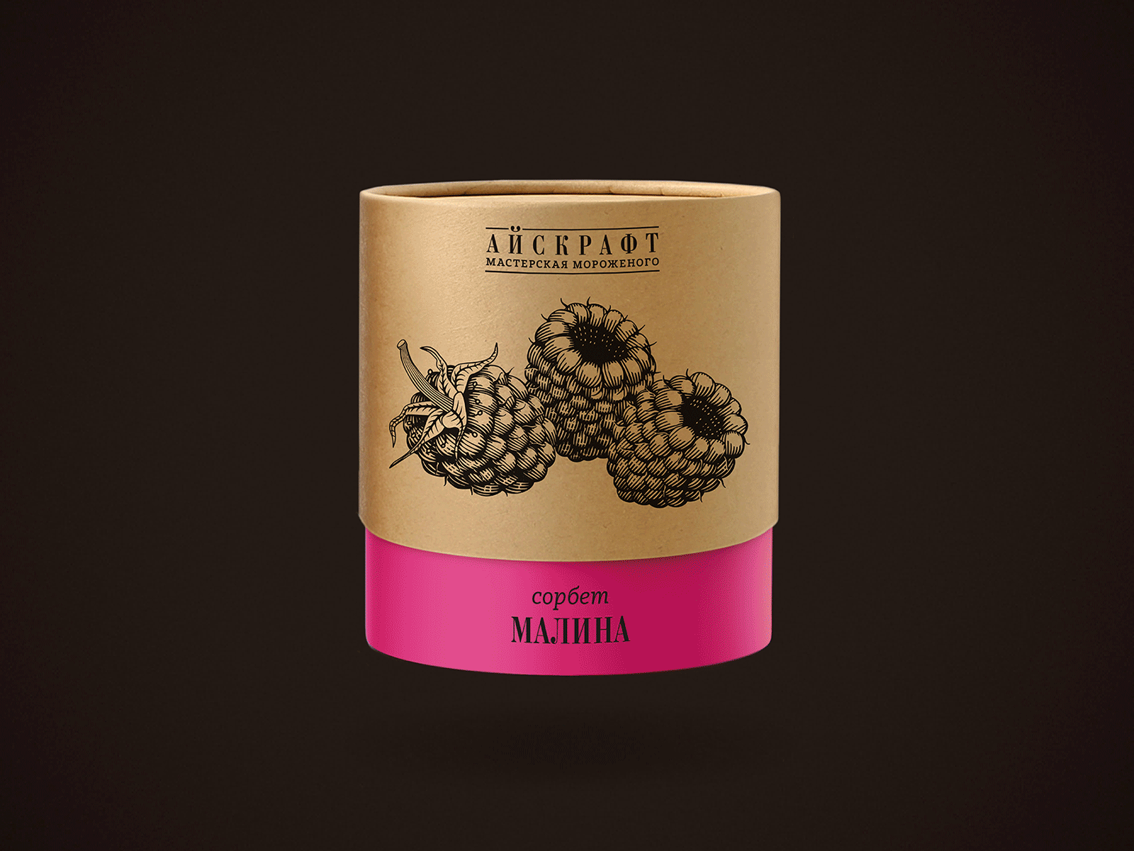 Ice Cream Packaging color craft ice cream packagedesign packaging