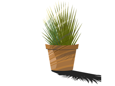 potted plant-png