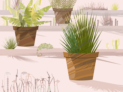 plants on the terrace