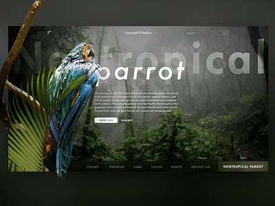 Animal Of The Day animals design desktop green interface jungle nature ui web webdesign website