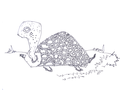 Old life ages animal crumpet digitalart drawing illustration love markers minimalism nature oldlife turtle