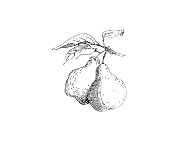 Pears botanical floral food food illustration fruits illustration minimalism pears pencil plant simple yellow