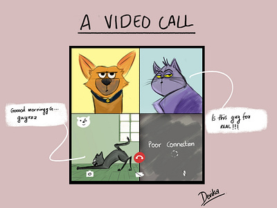 video call