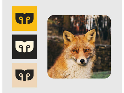 Fox icon design graphic design illustraion vector illustration