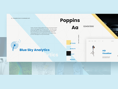 Brand identity Styles scapes (Big and basic) adobe artificialintelligence basic big brand brandideas brandidentity branding branding and identity branding design figma natural poppins stylescapes