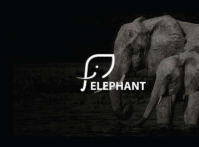 Elephant logo animal branding business elephant logo logo design logotype minimal