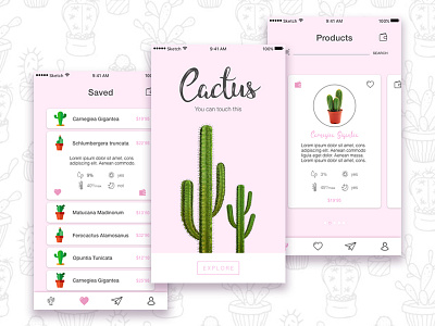 Cactus🌵