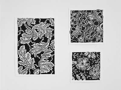 Acanthus, Cray and Echeveria. biology botanic engraving flowers industrial morris pattern plantae plants printmaking texture wallpaper william woodcut