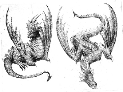 Dragon etching  -Fire and Ice