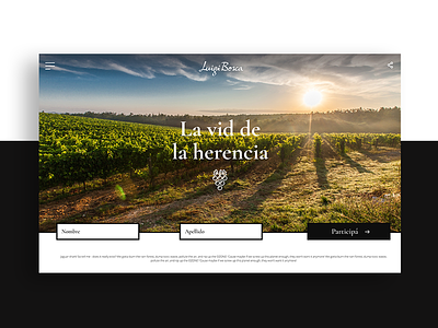 Luigi Bosca Wine design landing page typography ui uidesign wine