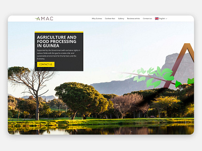 Amac1 amac divi ui web design wordpress