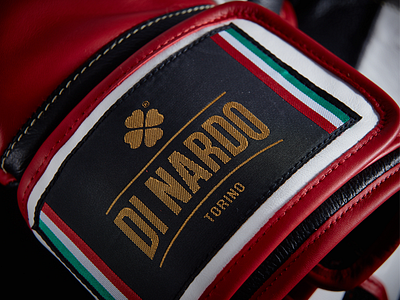 Di Nardo Branding branding logo
