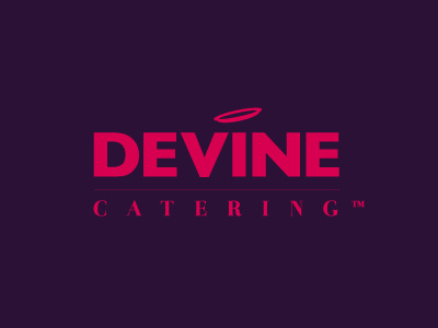 Devine Branding branding identity illustrator logo pitch