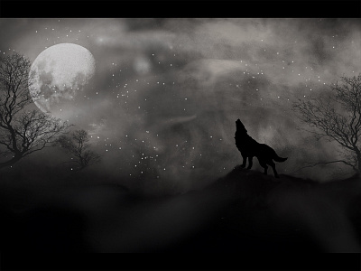 Night - wolf design illustration 插图 插图 design illustration