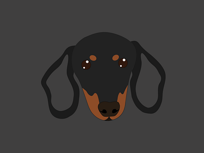 Daschund Doodle