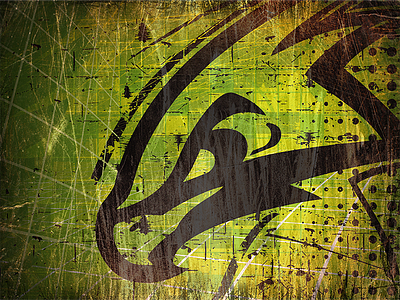 Graphics - Hawk