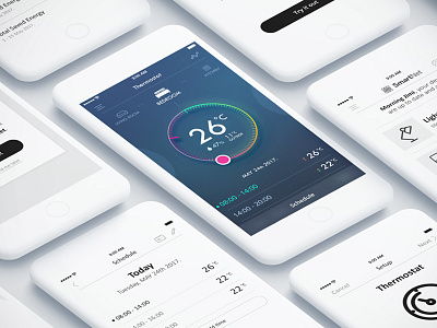 Smart Home Thermostat Mobile App ui/ux