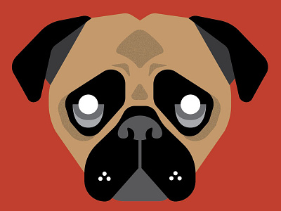 Pug - Dog Breed Quiz