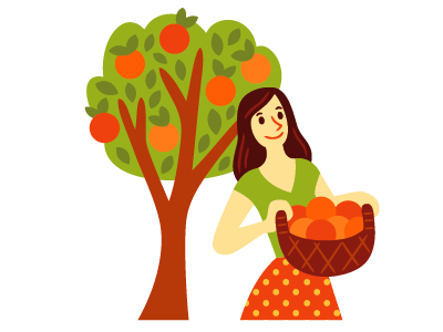 Orange Picker food fruit illustration orange spot tree vector woman