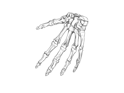 Hand Bones #06 anatomy design drawing illustration minimal rodriguezars sketch