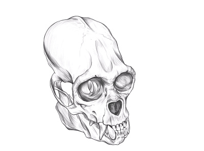 Woolly monkey SKULL digital drawing. anatomy drawing illustration monkey drawing monkey sketch monkey skull rodriguez ars sketch woolly monkey