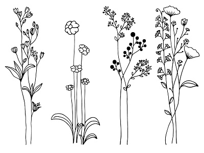 Wild flowers. blackandwhite collection design flowers handdrawn vector