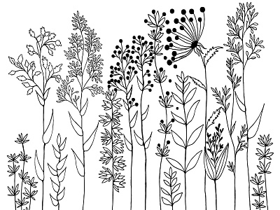 Wild flowers. design flowers handdrawn vector