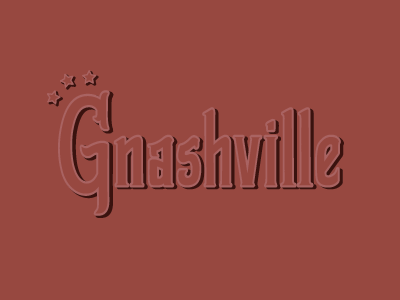 Gnashville gnashville hand lettering illustration music city nashville stars tennessee typography