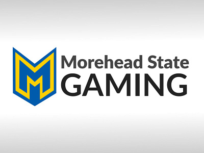 eSports Team Logo branding esports gaming logo