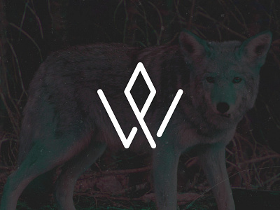 Wolf Parade identity logo wolf parade