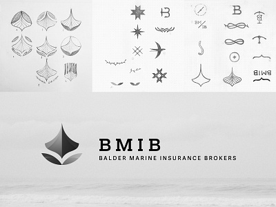 BMIB logo in b/w branding design logo logotype vector