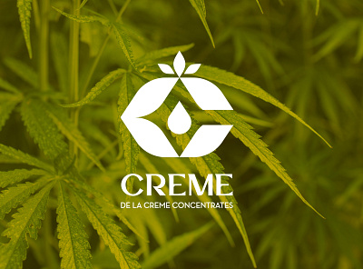 CREME art beauty branding cannabis design icon illustration leaf logo logo designer minimal monogram nature packaging sketches trending vector