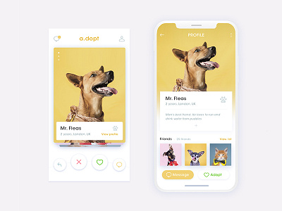 A.dopt. Profile adopt adopt app app app design interface profile ui ux