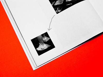 WORK IN PROGRESS I book bookdesign collage fanzine graphic design minimalism photography publication typography