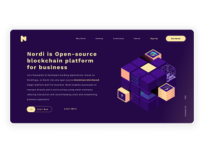 Nordi / Blockchain / Landing page design