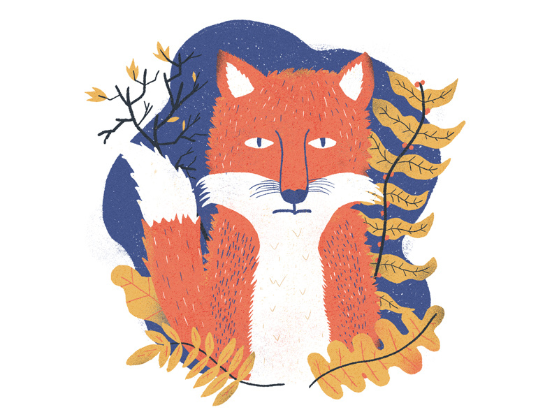 Blue Sequels / August / 008: Fox yellow orange blue leaf plants fox illustration blue sequels