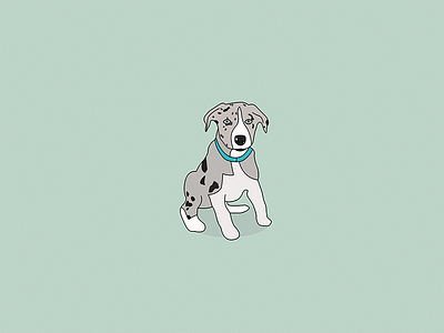 Puppy Inspired Illustration collie corder collie cute dog dog illustration doggo illustration merle min green puppy